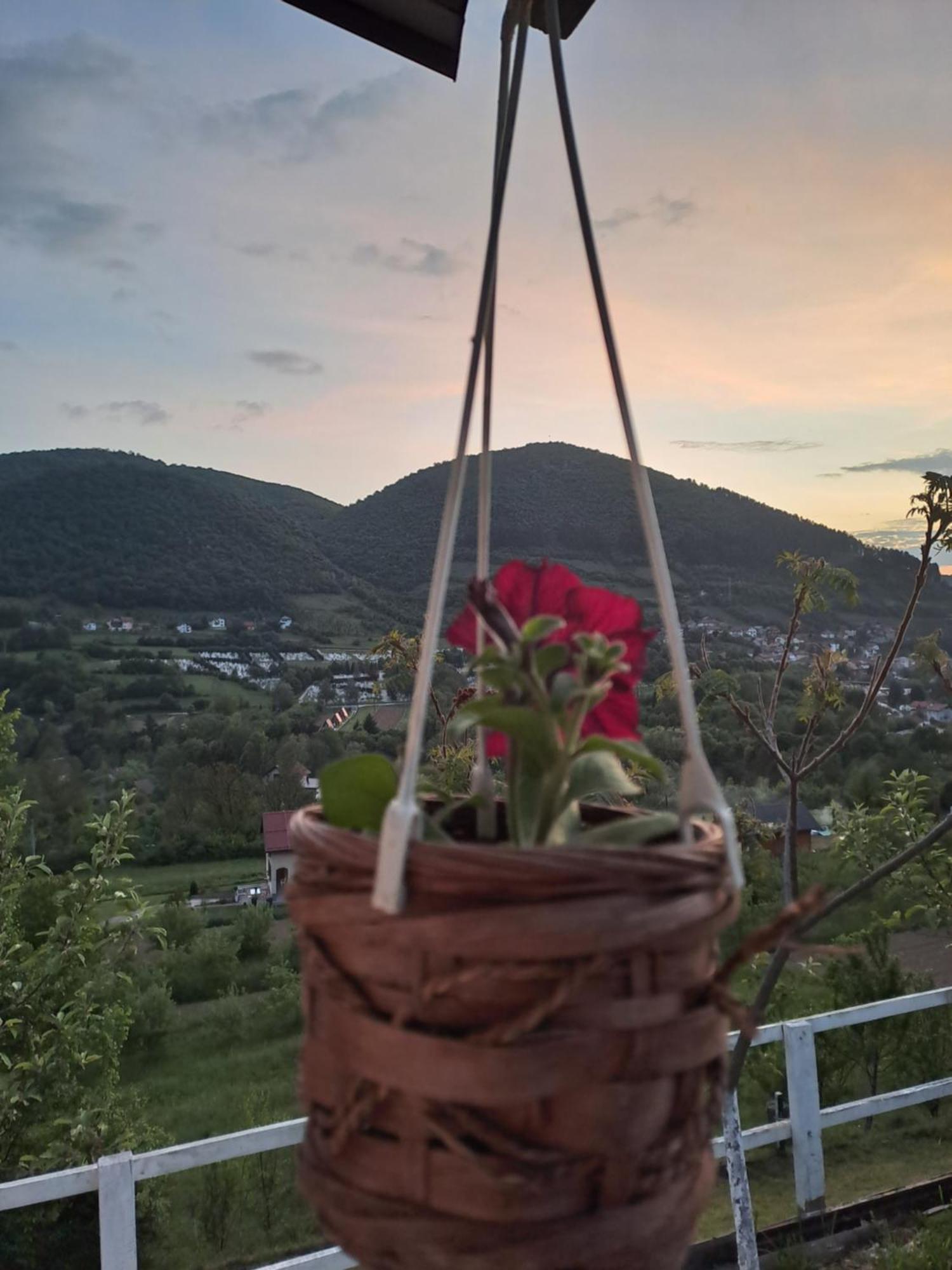 Natural House Visoko Værelse billede